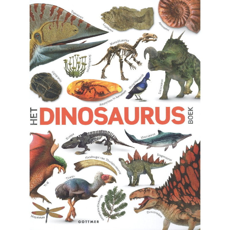Het Dinosaurus Boek! De ultieme gids voor jonge Dino fans.
