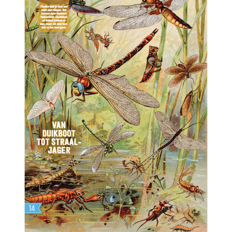 Roots Doe-Boek Onderwater