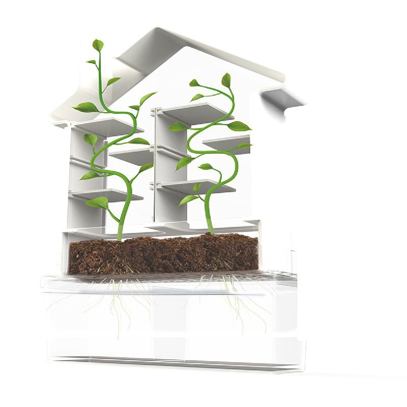 PlaySTEAM - Plant Maze